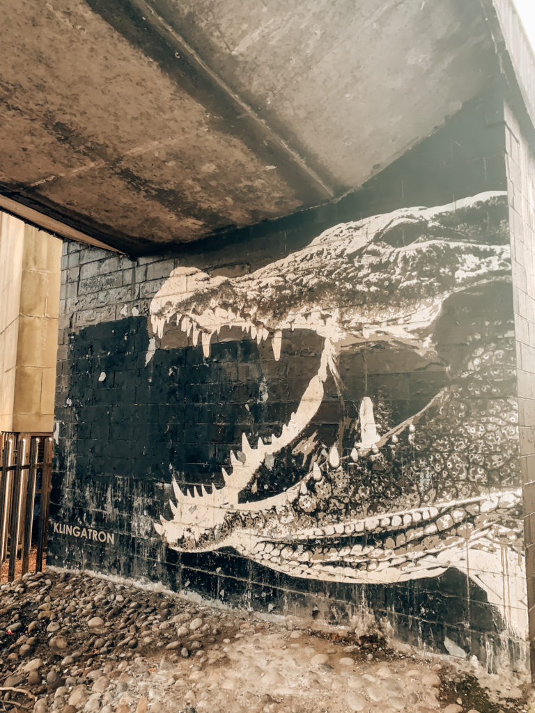 A mural of a crocodile