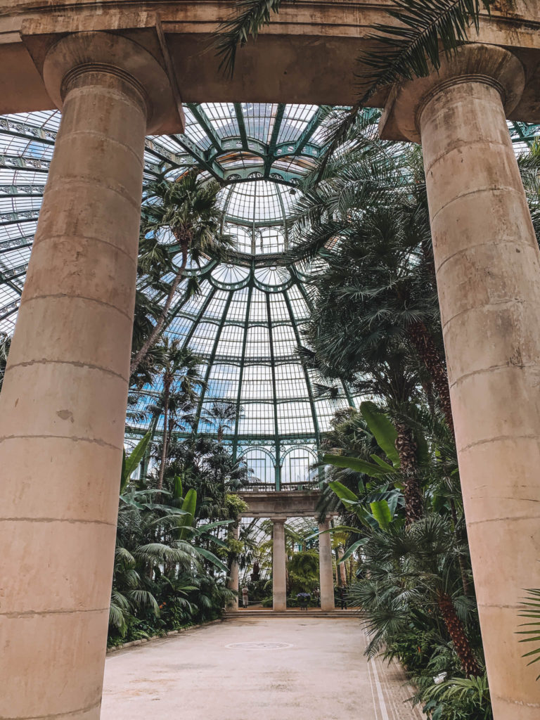 The glass roof of one of the Laeken Greenhouses, surrounded by green plants and large pillars