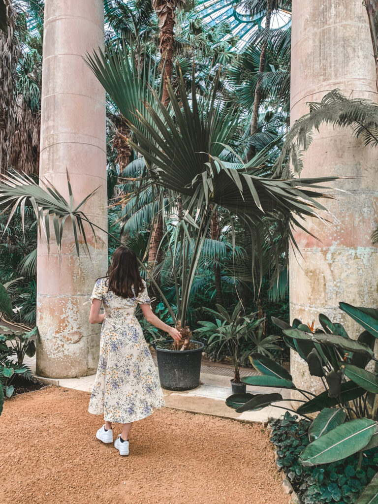 A girl in a floral dress walks through plants in the Laeken Greenhouses