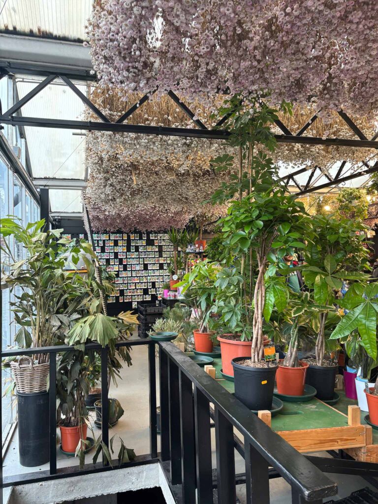 Plants and flowers at Bloemenmarkt, Amsterdam