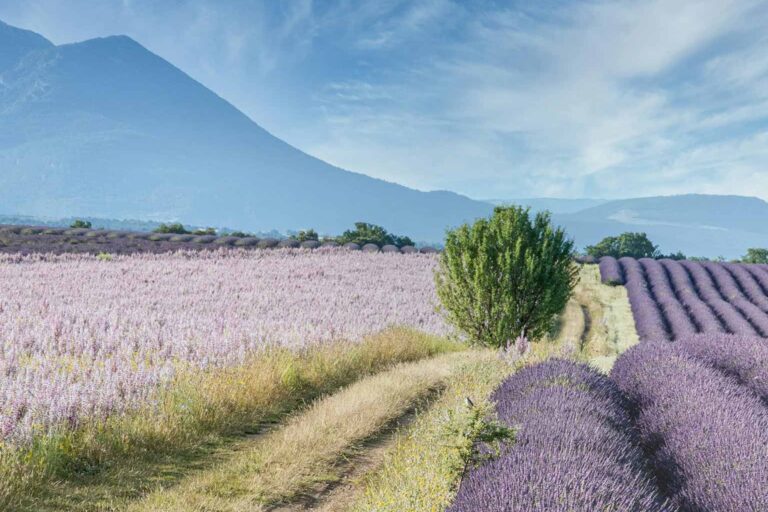 The 7 Best Day Trips from Nice, France